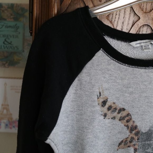 American Eagle Outfitters Vintage Raglan Sweater - Leopard print Eagle Logo - Picture 4 of 16